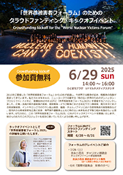 flyer1